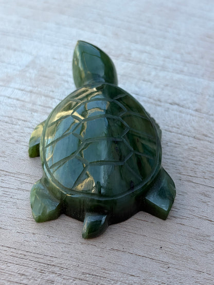 Tortue Aventurine