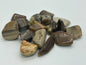 Bois fossile