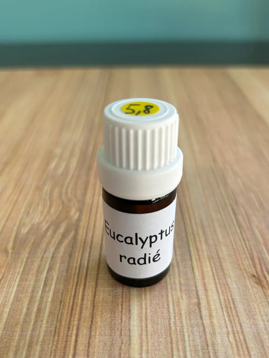 Huiles essentielles Eucalyptus Radié
