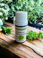Huiles essentielles Elemi