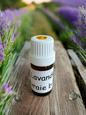 Huiles essentielles Lavande Vraie bio