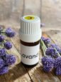 Huiles essentielles Lavandin Grosso bio
