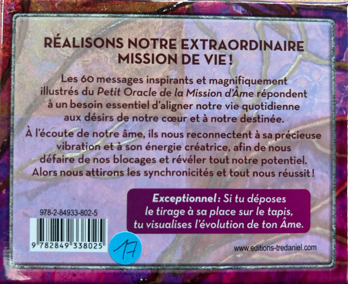 Le petit oracle de la mission d'âme