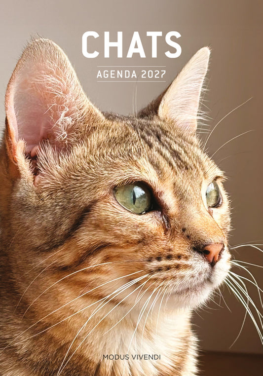 Agenda chats 2027