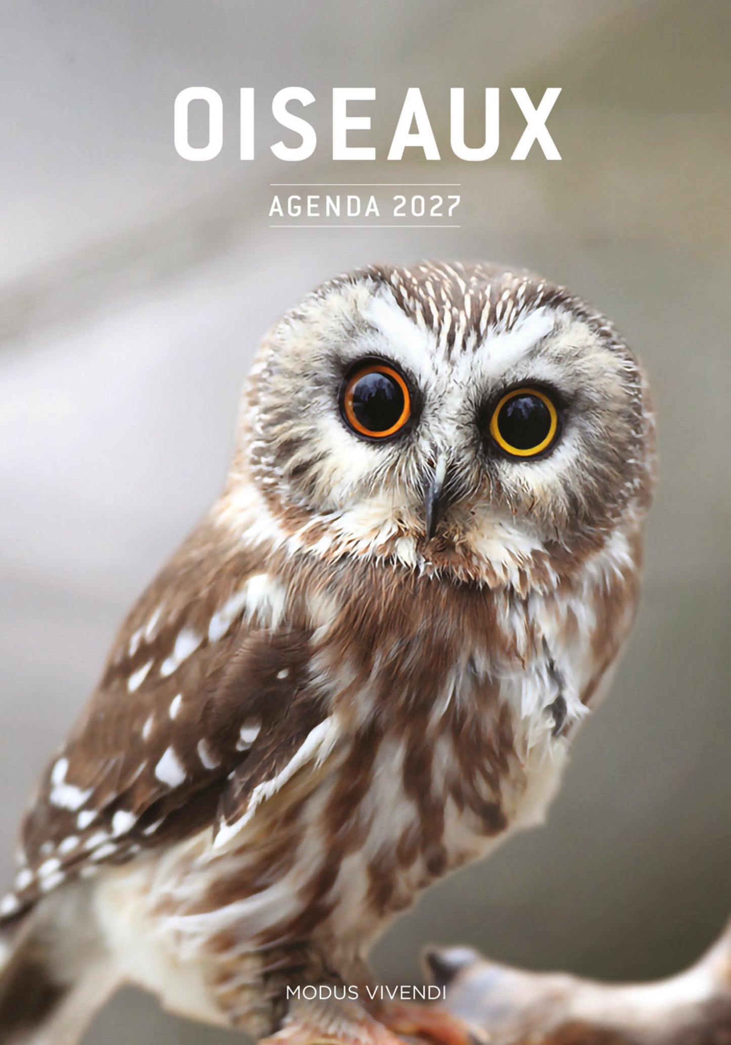 Agenda Oiseaux 2027