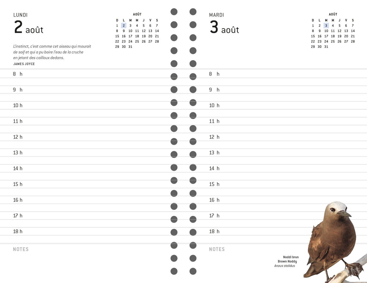 Agenda Oiseaux 2027