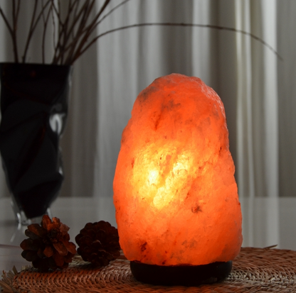 Lampe en Cristal de Sel d'Himalaya